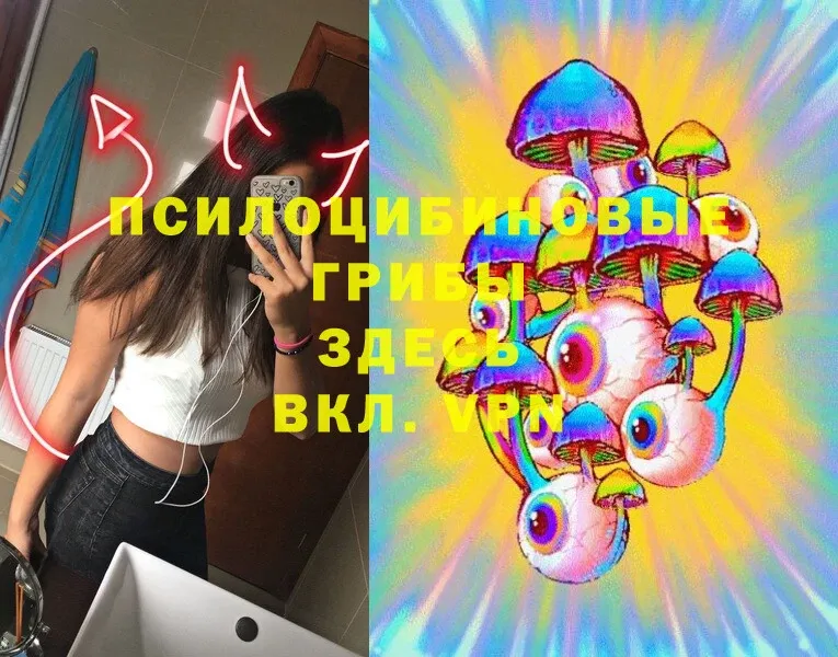 Галлюциногенные грибы Magic Shrooms  что такое   Костомукша 